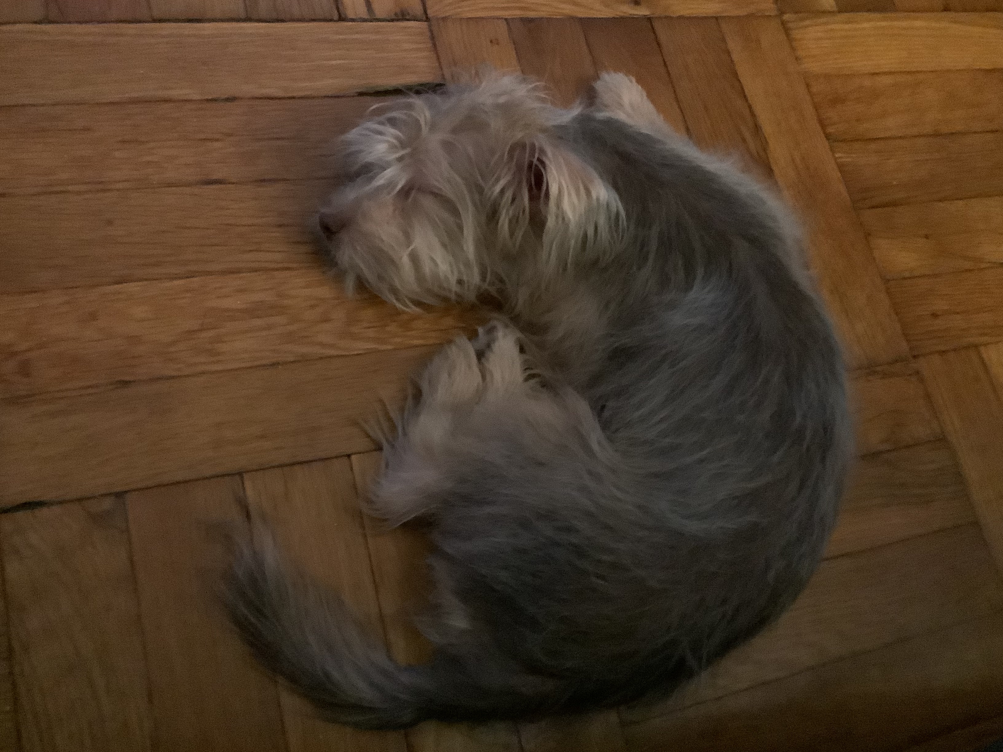 awww