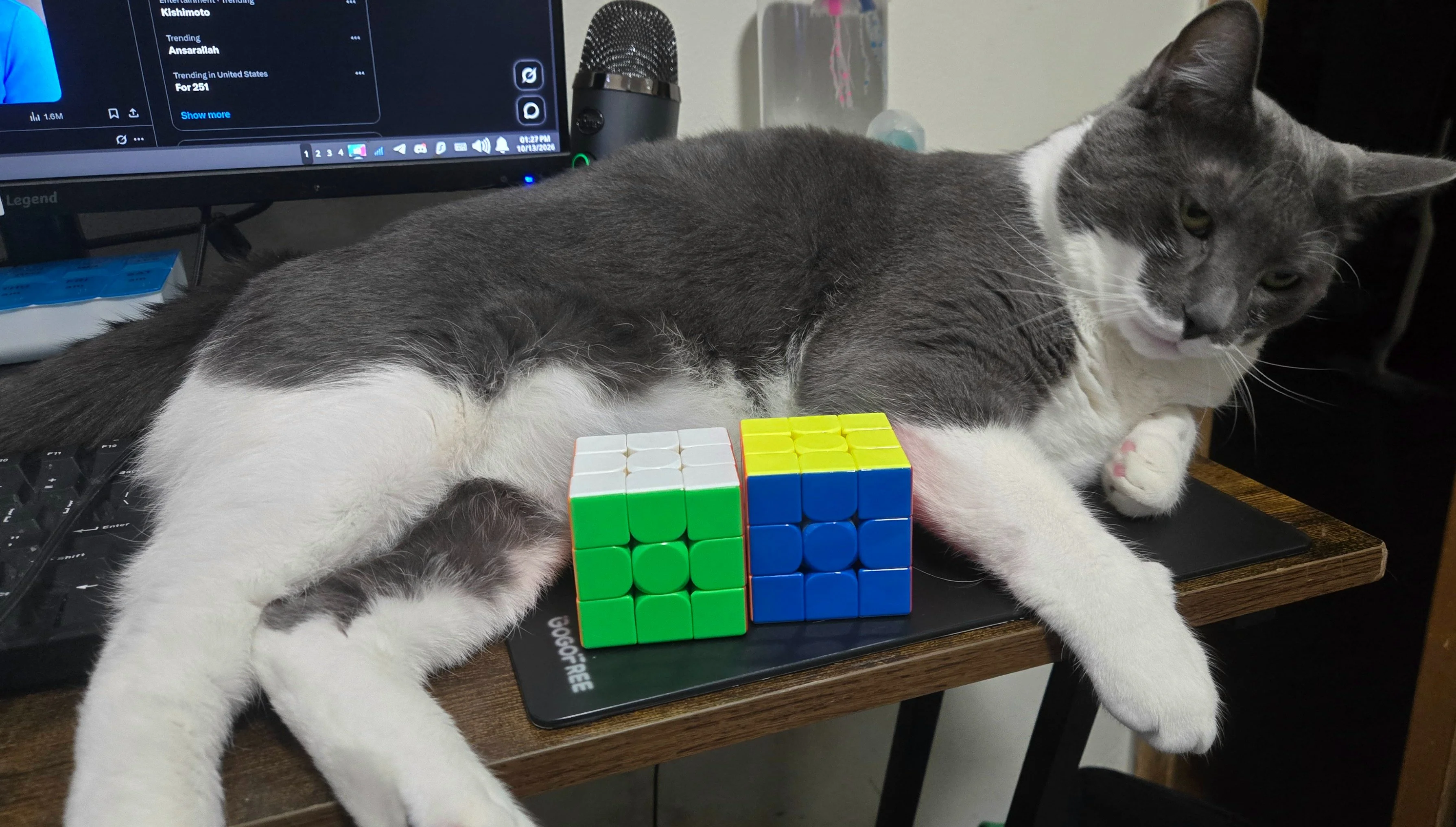 cubesforscale.webp