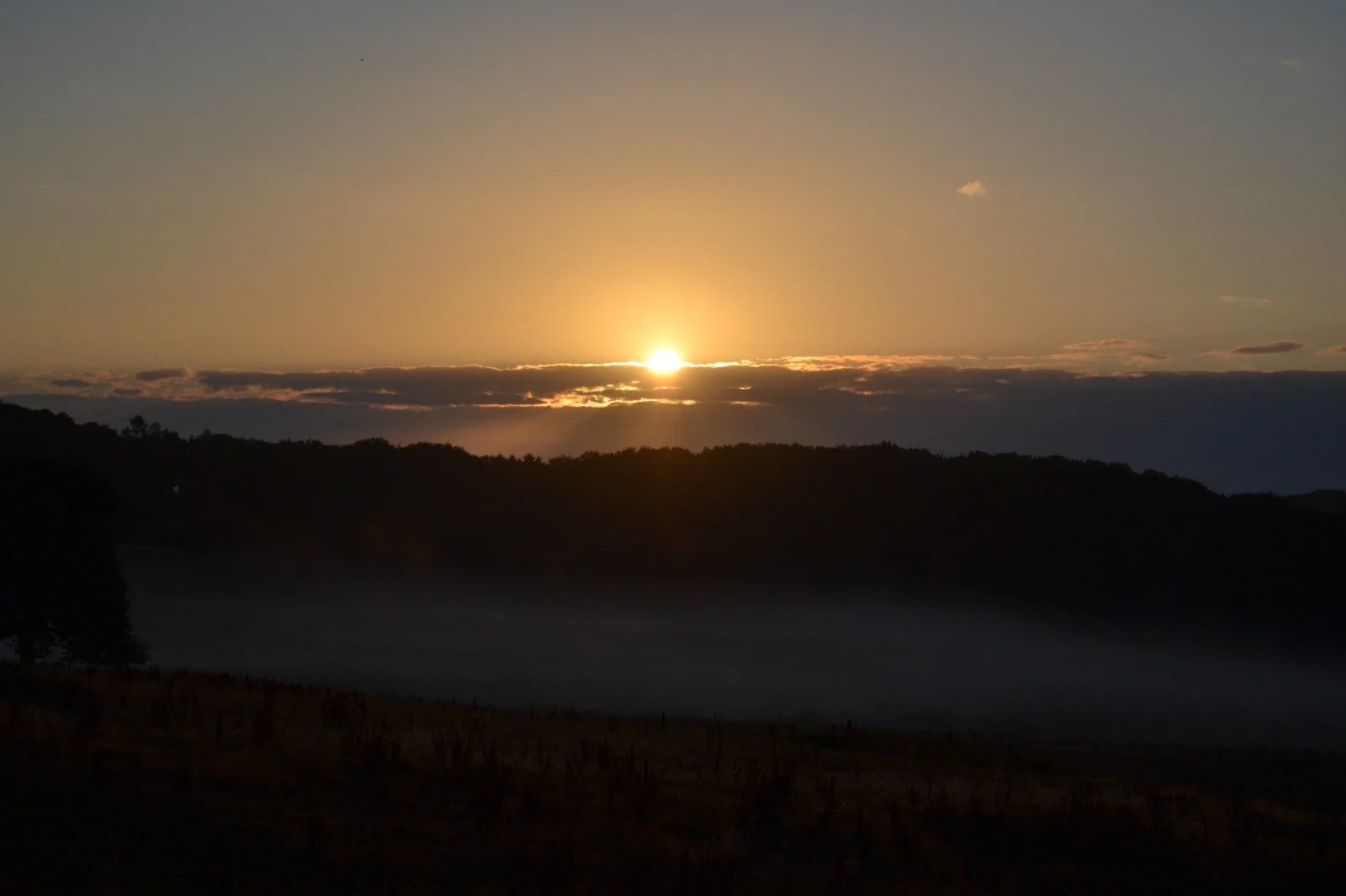 IMG-20260802-WA0056.webp